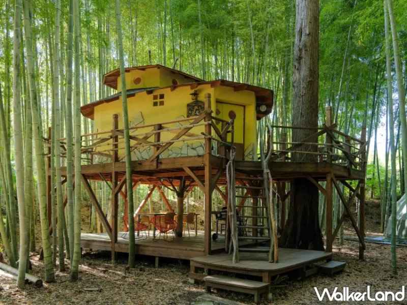 日本千葉「The Bamboo Forest」豪華露營即日起開放預約，入住贈動物園入場體驗及台灣限定暢飲方案。