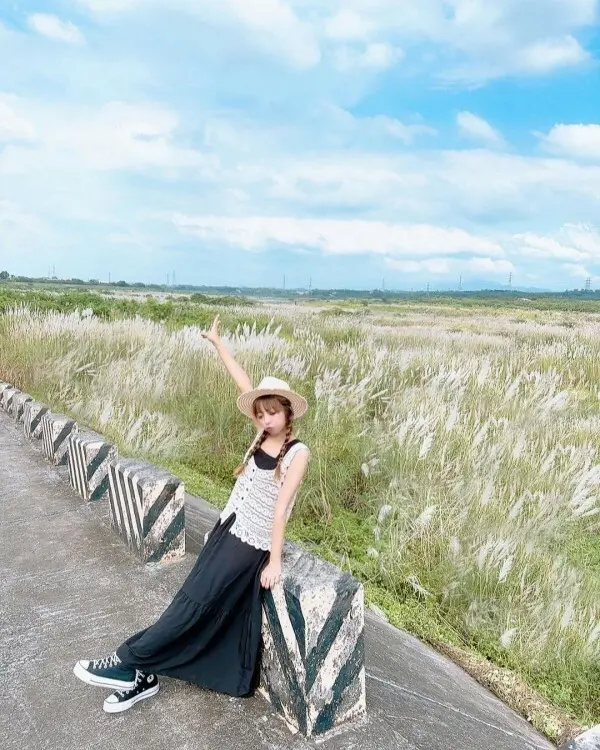  秋季必拍2公里長雪白花海 #大內橋堤防/ WalkerLand窩客島整理提供 未經許可不可轉載