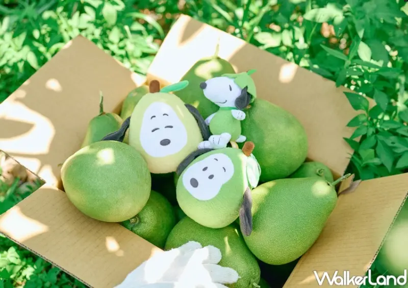 威秀影城 柚子史努比周邊  / WalkerLand窩客島提供 未經許可，不得轉載