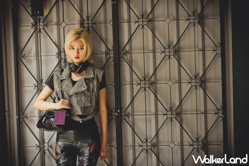 鱷魚古花窗防蚊片