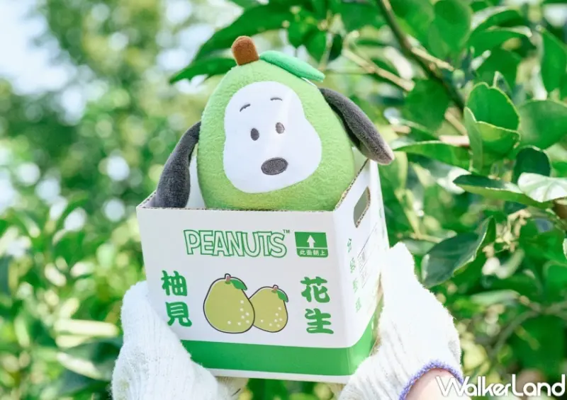 威秀影城 柚子史努比周邊  / WalkerLand窩客島提供 未經許可，不得轉載