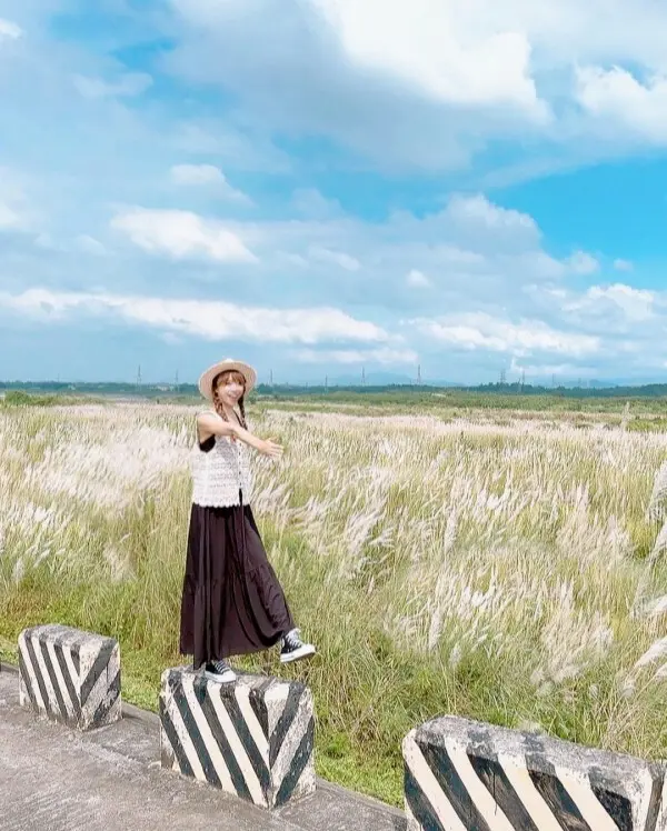  秋季必拍2公里長雪白花海 #大內橋堤防/ WalkerLand窩客島整理提供 未經許可不可轉載