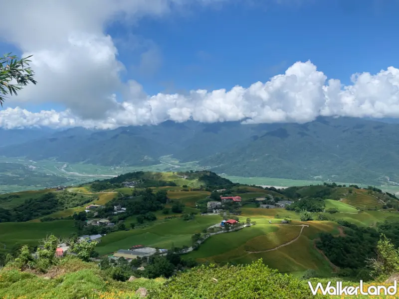 赤科山卡娜赫拉金色花園、六十石山文化之旅，雙重景點一日遊、深入探索花蓮的自然之美。