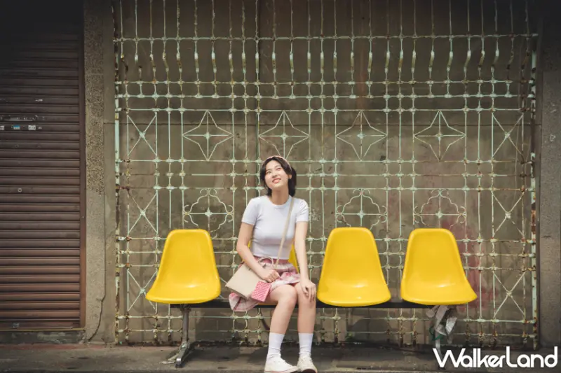 鱷魚古花窗防蚊片