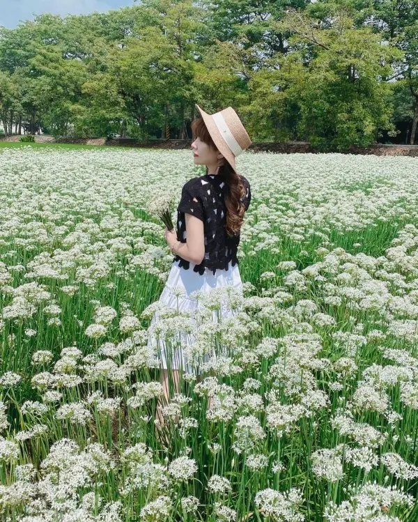 彰化秋天必拍雪白花海 #幸福韭韭-韭菜花田/ WalkerLand窩客島整理提供 未經許可不可轉載