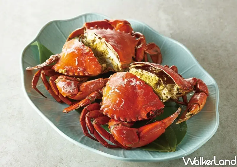 米其林一星「欣葉．鐘菜」/ WalkerLand窩客島整理提供 未經許可不可轉載。