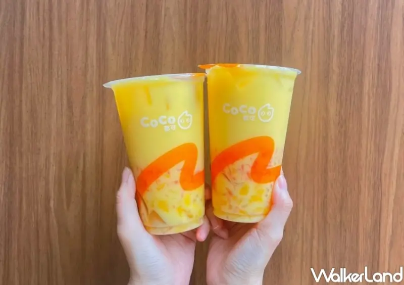 CoCo 胖胖楊枝甘露買一送一  / WalkerLand窩客島提供 未經許可，不得轉載