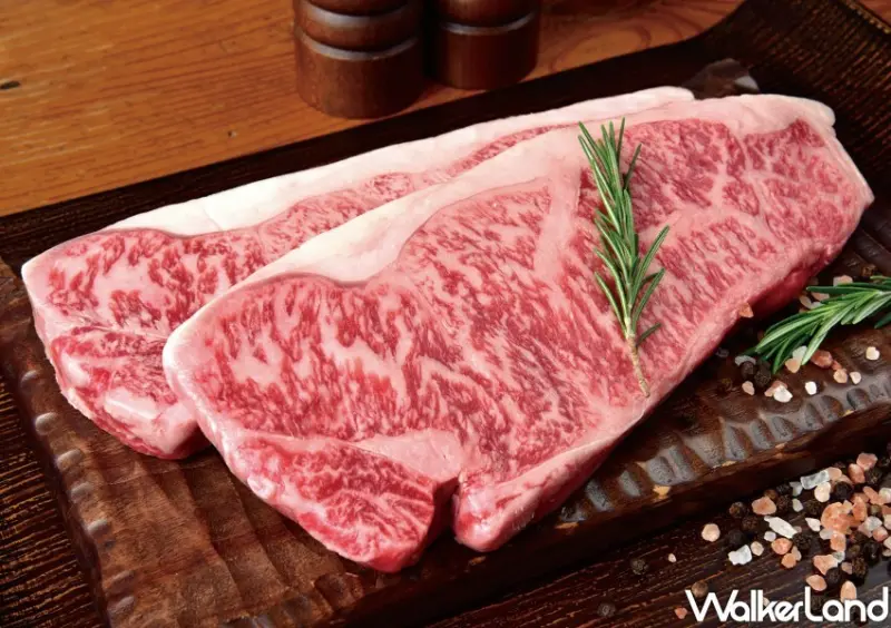 星宇航空 台中-沖繩航線 航班資訊/ WalkerLand窩客島整理提供 未經許可不可轉載。