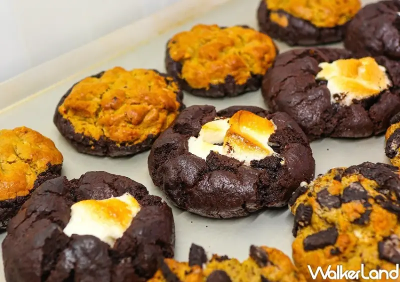 SOMAＸCOOKIE DPT  / WalkerLand窩客島提供 未經許可，不得轉載