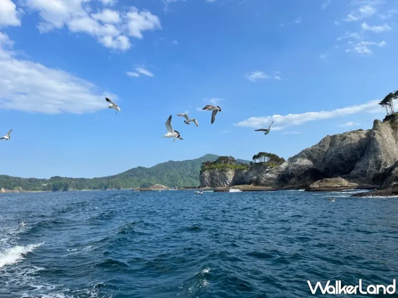 花卷必朝聖巨無霸霜淇淋、仙台毛豆冰淇淋、盛岡水果糰子冰，衝一波日本不用想太多。