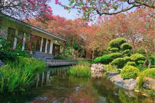 彰化必拍日式庭園 #台灣銘園庭園美術館/ WalkerLand窩客島整理提供 未經許可不可轉載