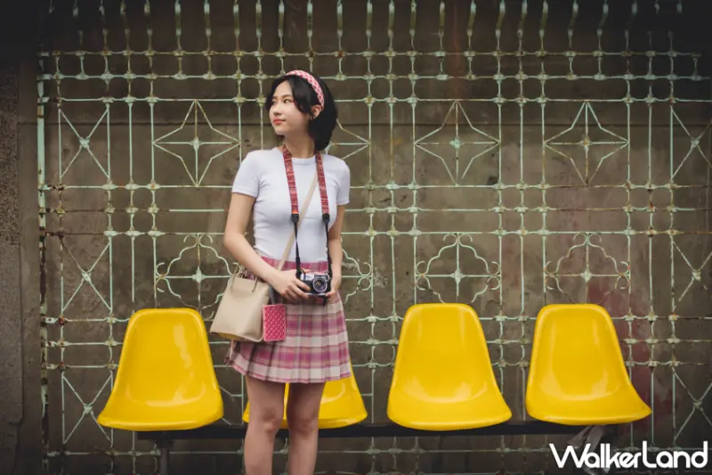 鱷魚古花窗防蚊片