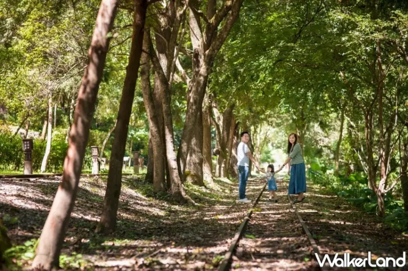 花東住房買一送一「三天二夜花東雙城自遊行」