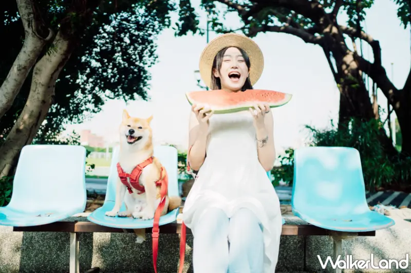 「這裡有毛孩！」浪浪互動攝影展