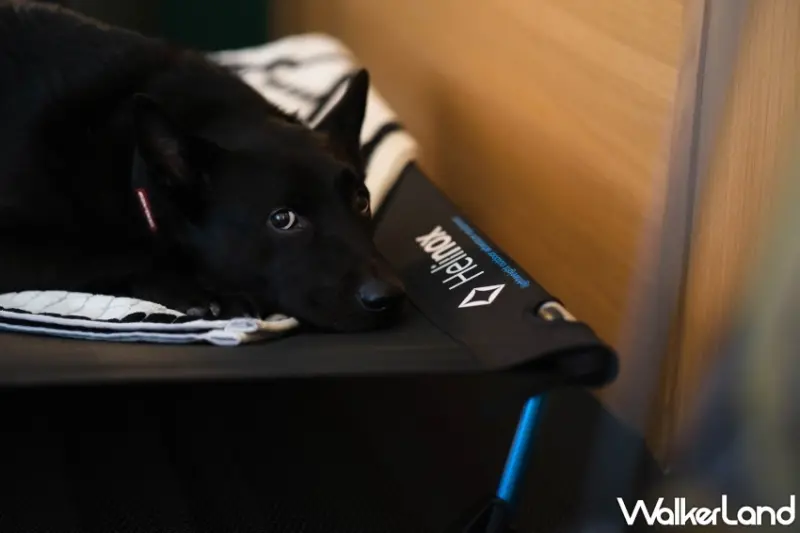 金普頓大安酒店 風格隱世露營 City Glamping