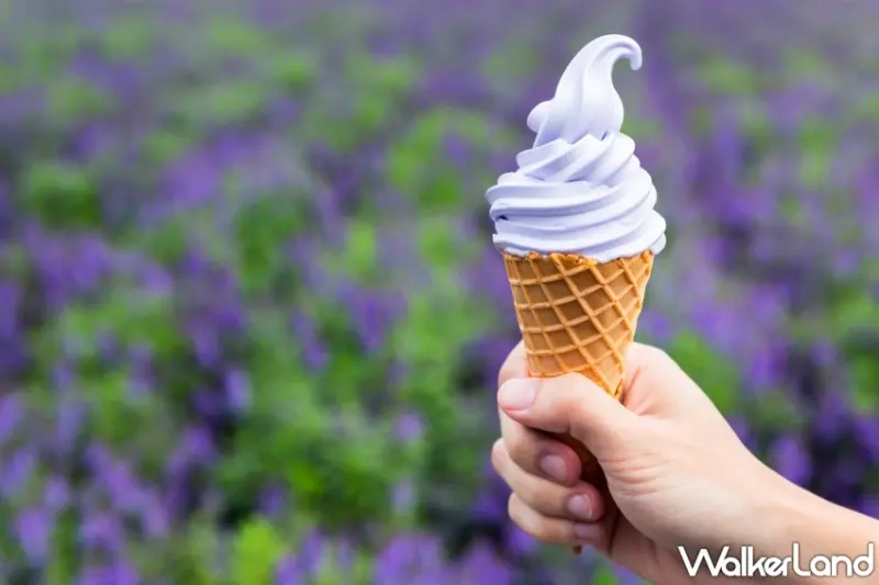 花卷必朝聖巨無霸霜淇淋、仙台毛豆冰淇淋、盛岡水果糰子冰，衝一波日本不用想太多。