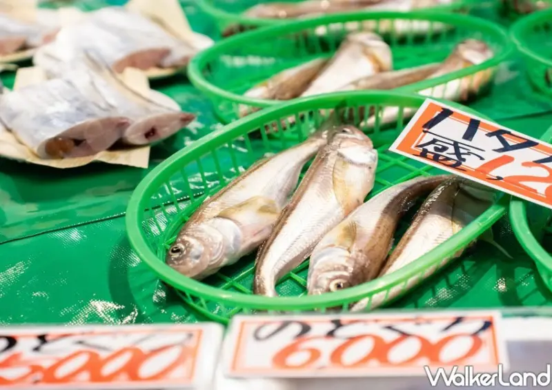 日本中部「昇龍道巴士周遊券」 / WalkerLand窩客島整理提供 未經許可不可轉載。