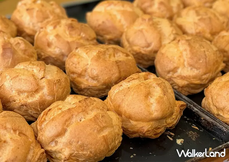 萬里大泡芙「米琪淋乳凍蛋糕」逛金山老街別錯過/ WalkerLand窩客島整理提供 未經許可不可轉載。