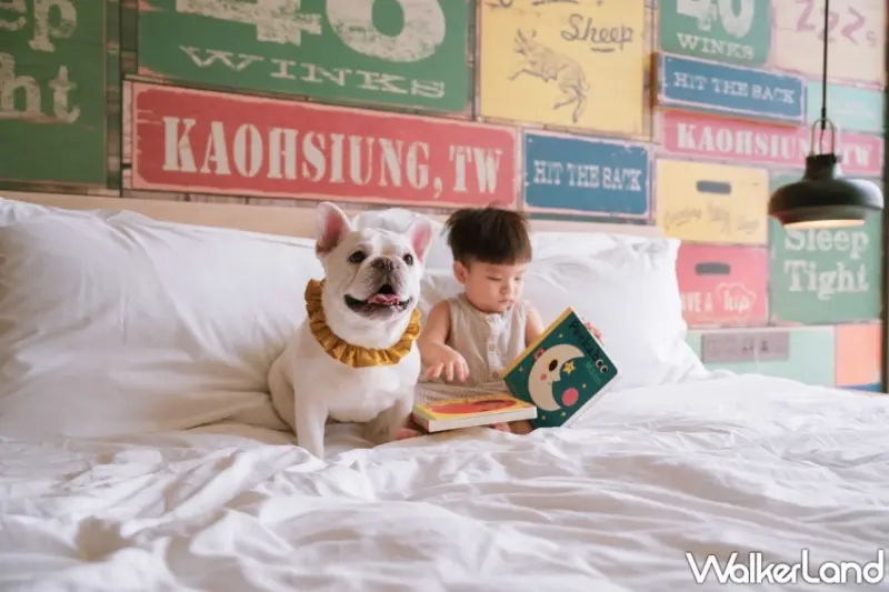 高雄中央公園英迪格酒店推出寵物專屬住房專案，加碼限時5折優惠、免費寵物特調。
