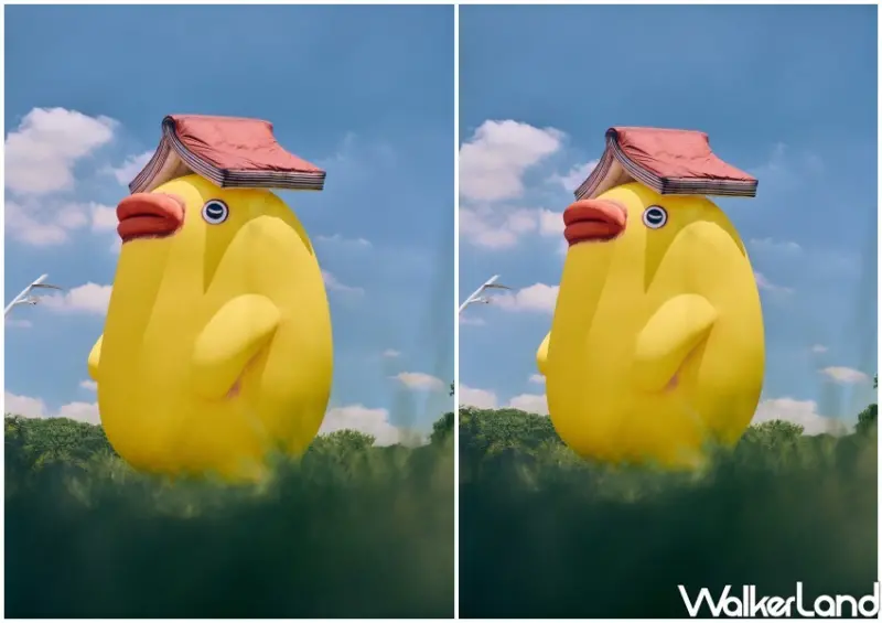 屏東入坑夜間美術館-阿咧特展/ WalkerLand窩客島整理提供 未經許可不可轉載。