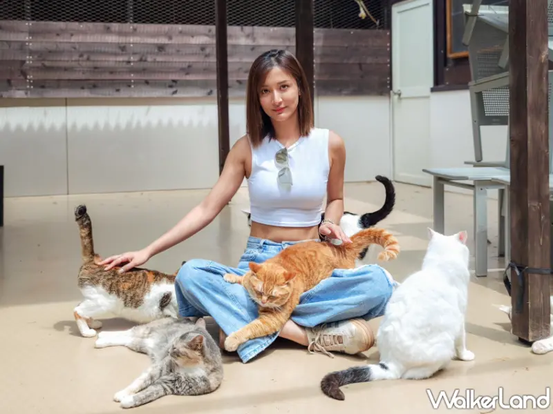 日本千葉「The Bamboo Forest」豪華露營即日起開放預約，入住贈動物園入場體驗及台灣限定暢飲方案。