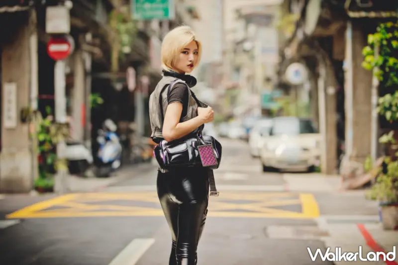 鱷魚古花窗防蚊片