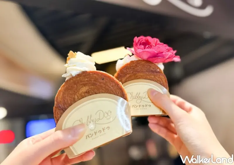Chubby Doo 新竹 Big City 快閃店 / WalkerLand窩客島提供 未經許可，不得轉載
