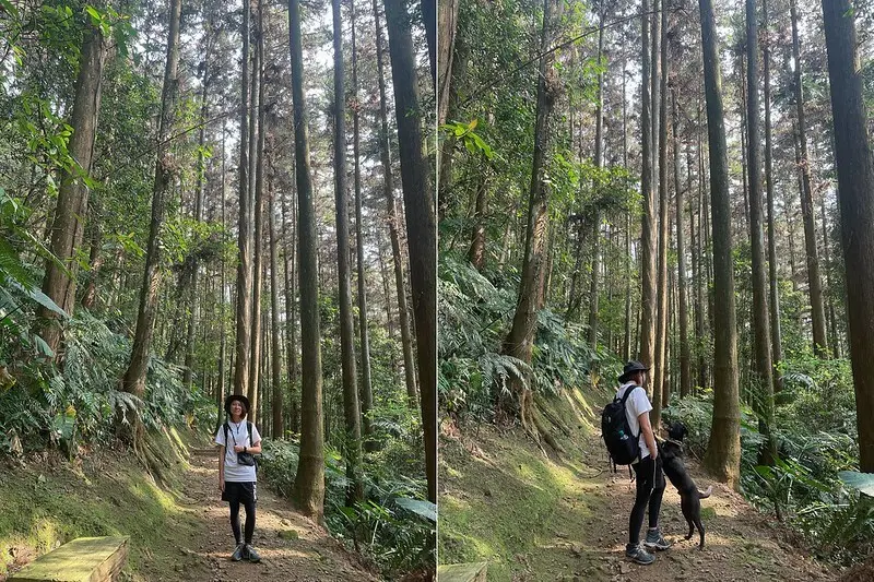 2021-03-31 14.51.00(1617596511-tile