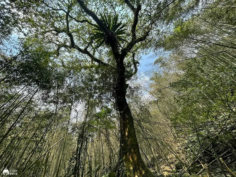 2021-03-31 12.58.58(1617596461.863655)