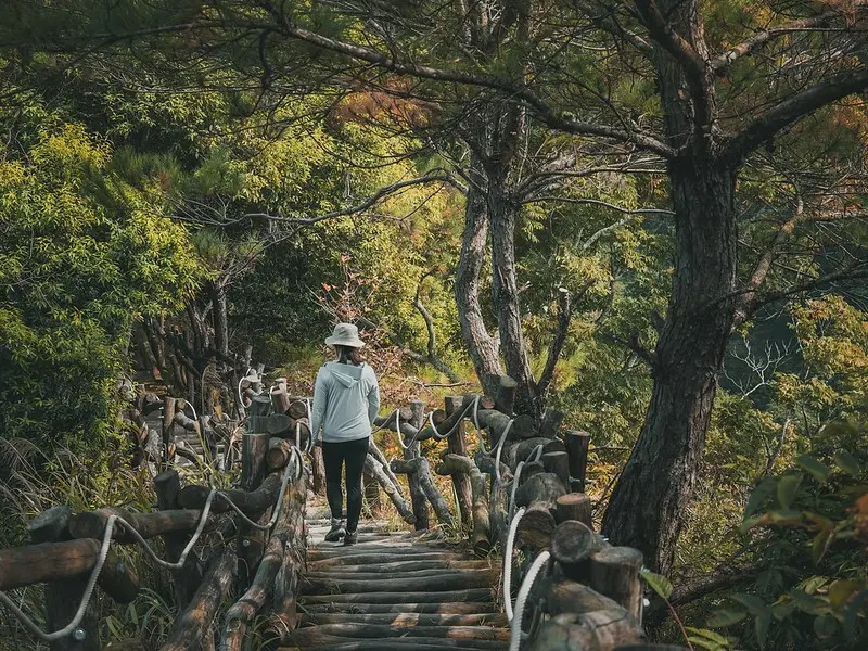 20221112 台中大坑4號步道