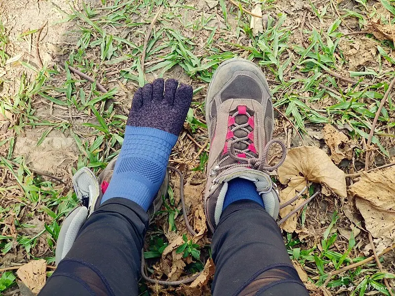 20221112 台中大坑4號步道