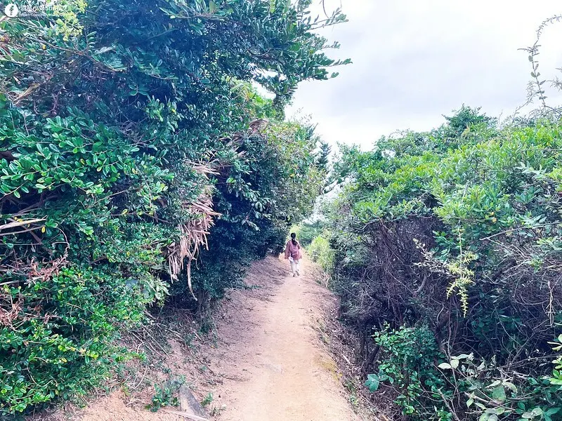 步道篇｜馬祖螺蚌山自然步道｜十月小心強風-2022