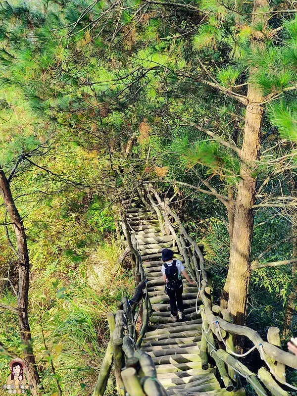 20221112 台中大坑4號步道