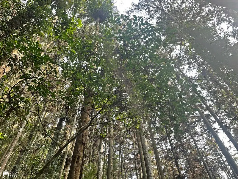 2021-03-31 14.48.32(1617596505.744245)