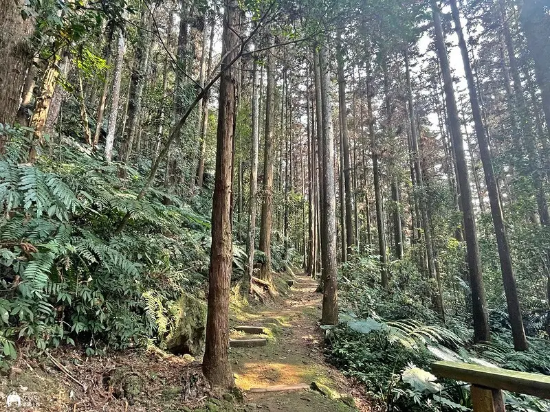 2021-03-31 14.48.04(1617596503.940970)