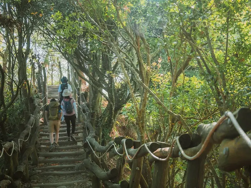 20221112 台中大坑4號步道