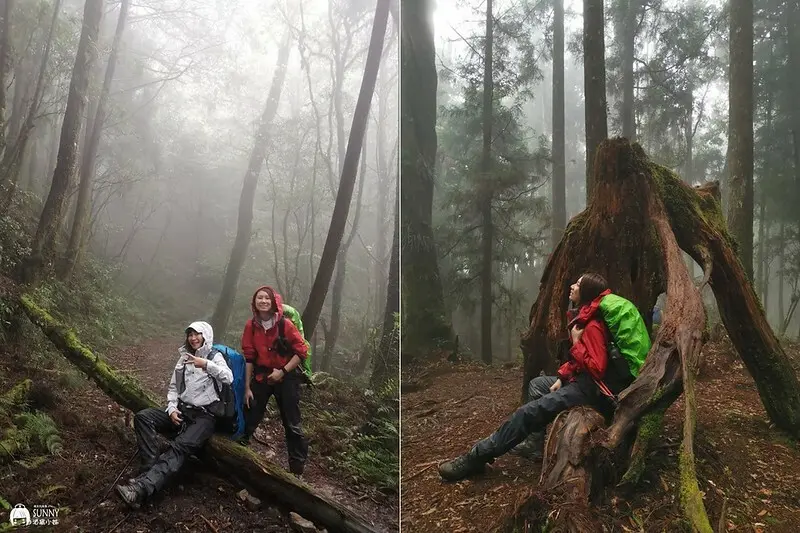 LINE_ALBUM_2021.11-tile2