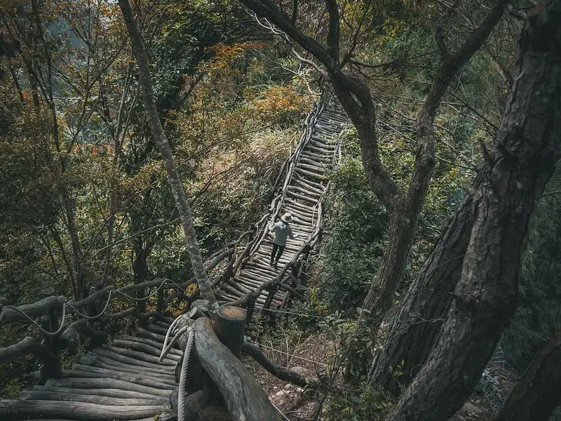 20221112 台中大坑4號步道