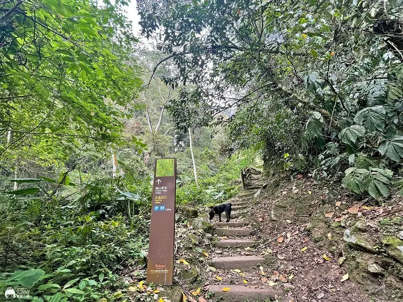 2021-03-31 15.02.02(1617596521.205414)