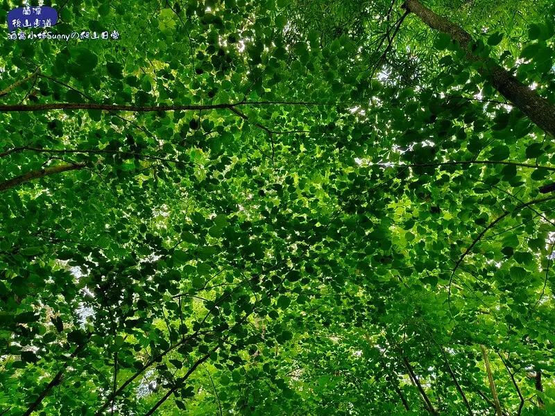 蘭潭後山步道、紅毛埤山