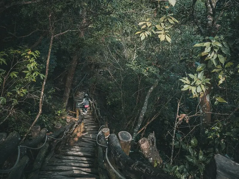 20221112 台中大坑4號步道