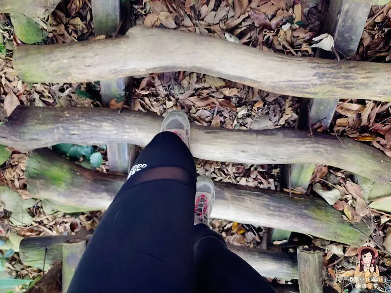 20221112 台中大坑4號步道