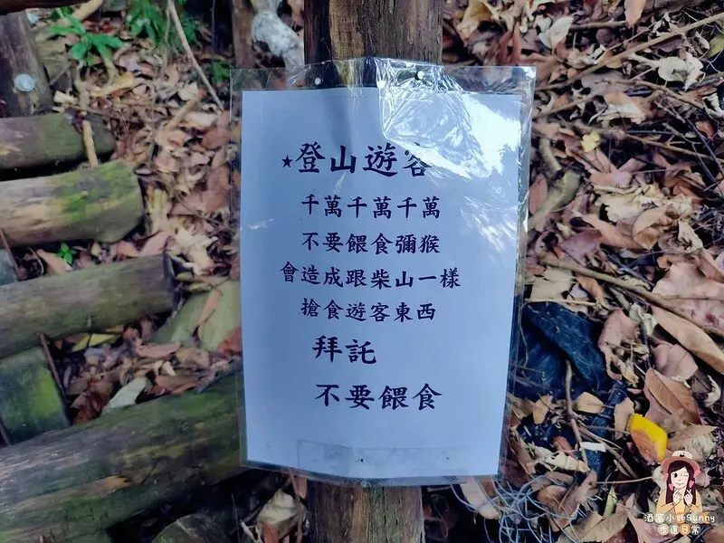 20221112 台中大坑4號步道