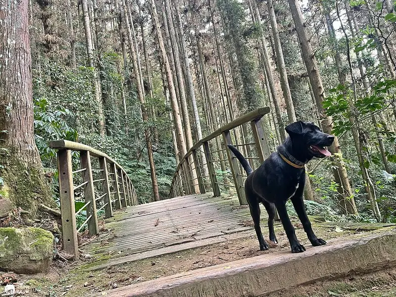 2021-03-31 14.47.29(1617596502.569143)