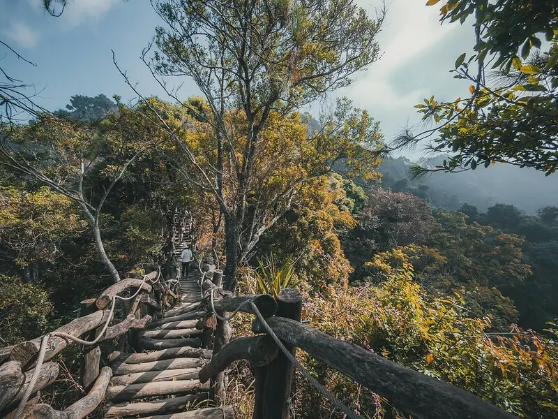 20221112 台中大坑4號步道