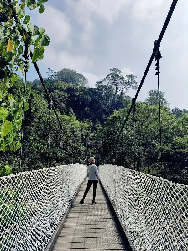 20221112 台中大坑4號步道