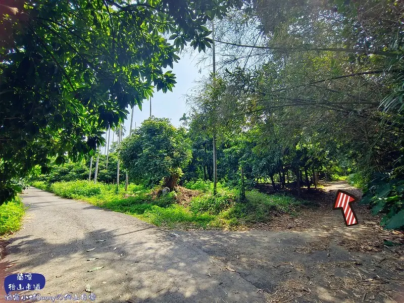 蘭潭後山步道、紅毛埤山