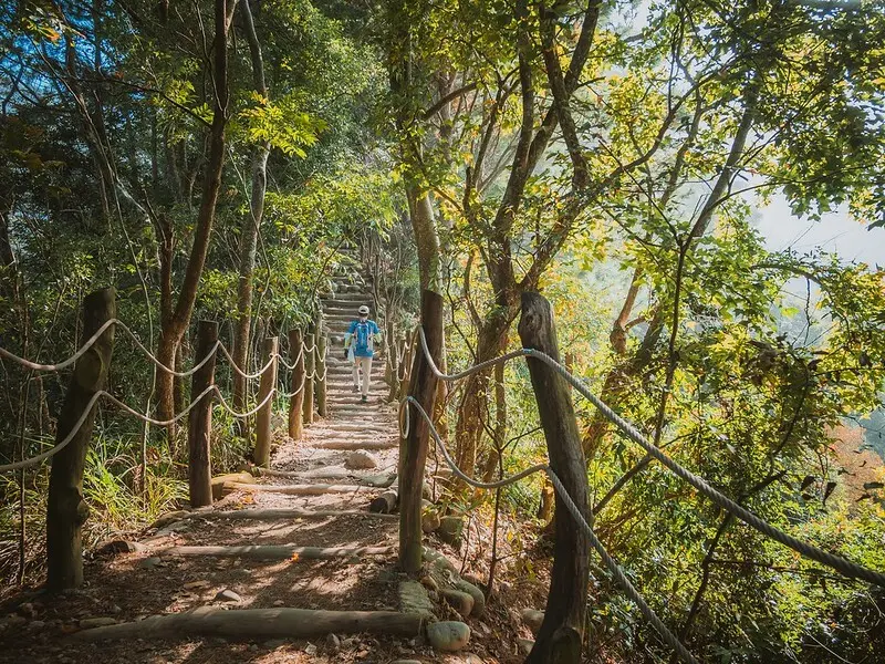 20221112 台中大坑4號步道