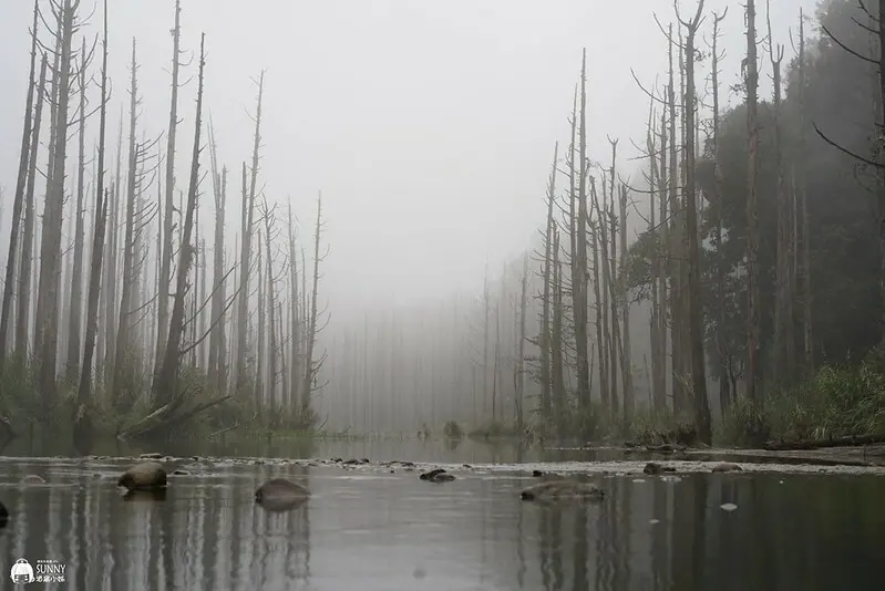 LINE_ALBUM_110.11.13-14水漾森林I_211115_291