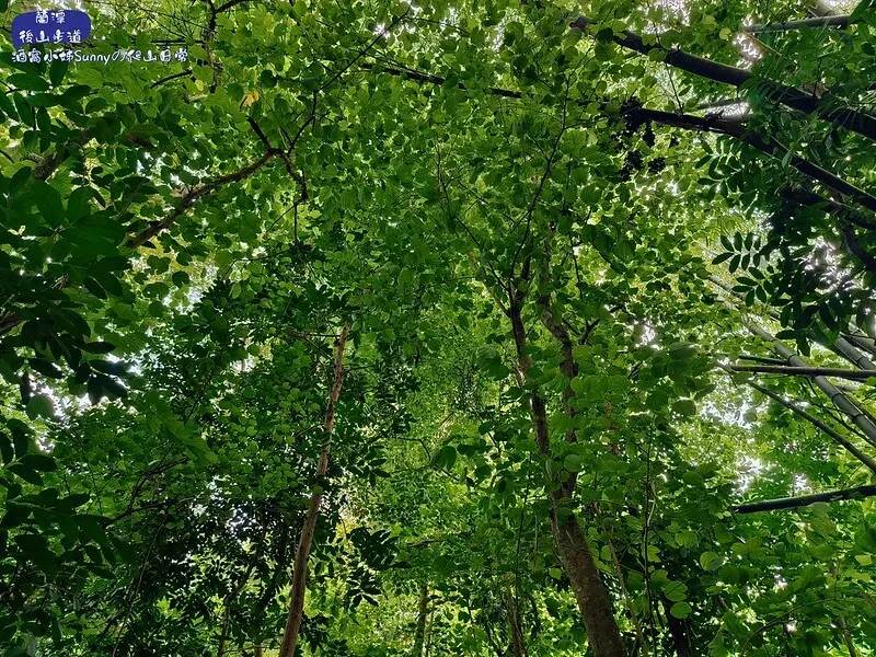 蘭潭後山步道、紅毛埤山